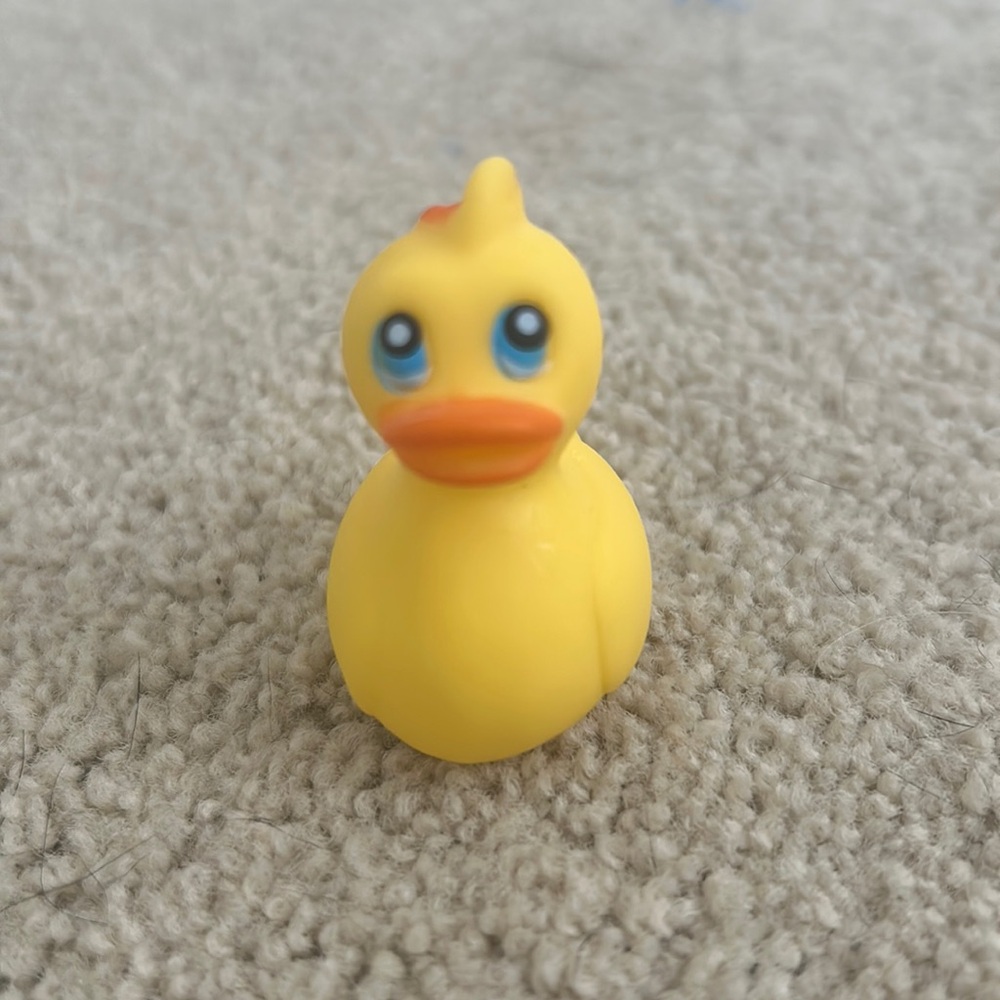 3 Ducks